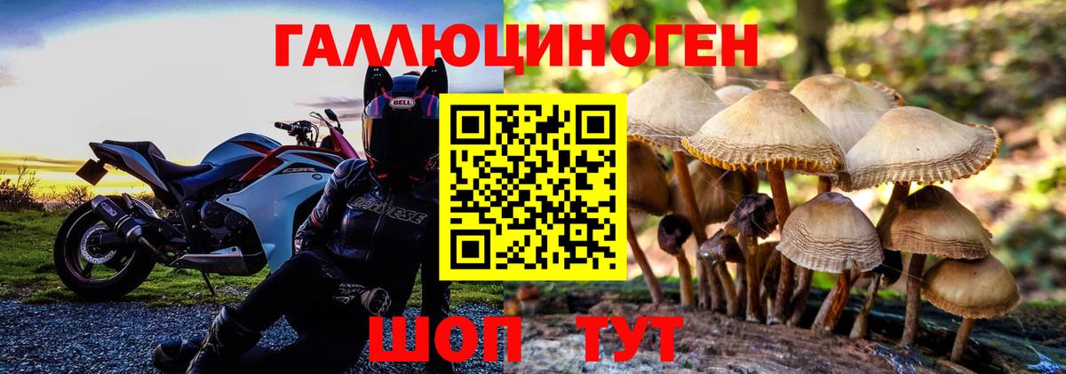 Псилоцибиновые грибы Magic Shrooms  сколько стоит  Вход с VPN  Ялуторовск  Псилоцибиновые грибы GOLDEN TEACHER 