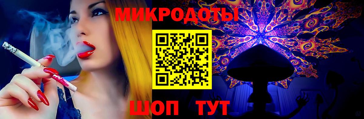 Галлюциногенные грибы Psilocybe Ялуторовск